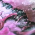 From Zero – Image 1