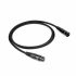 Arran XLR – Image 1